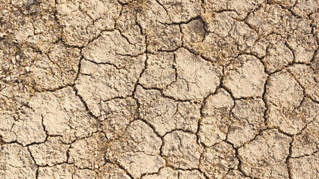 Ilustrasi kekeringan lahan dampak El Nino 
