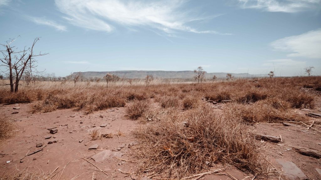 Ilustrasi lahan mengering dampak El Nino 