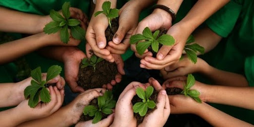 Pelestarian alam dan lingkungan hidup